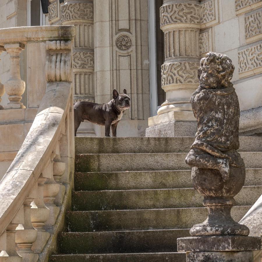 Chateau Des Orchidees En Val De Loire Сомюр Экстерьер фото